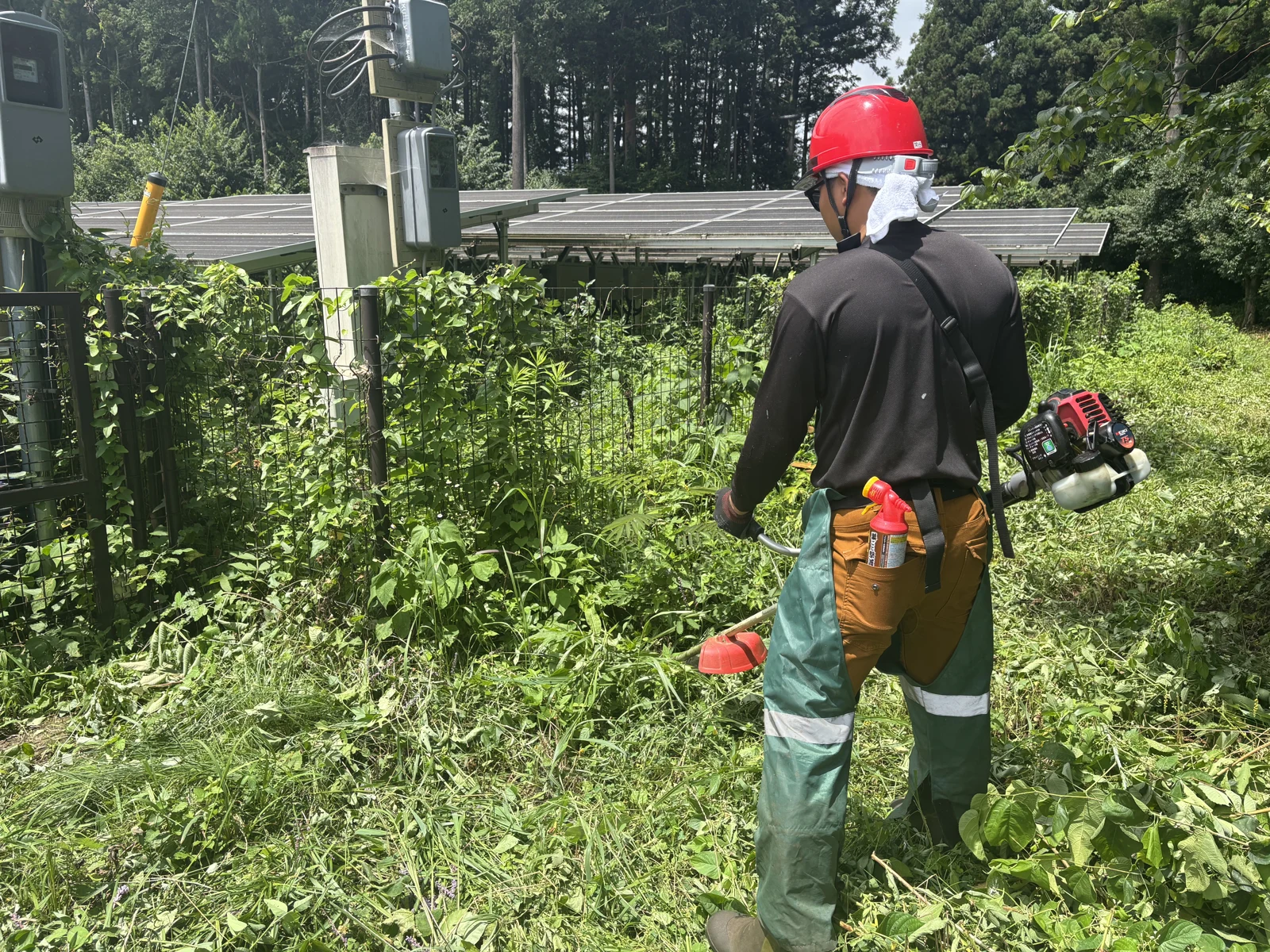 発電所の除草・環境管理